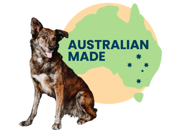 Ausy-made.png