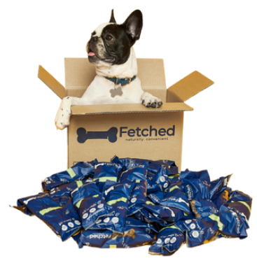 dog-in-box.png