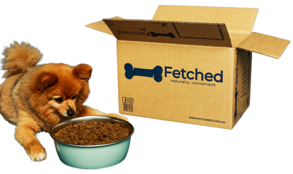 head-in-box-no-background-1.png